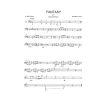 Fantasy for Tuba and Piano (1985)