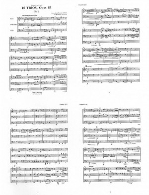 15 Trios, Opus 85 for Horn, Trombone, and Tuba by Antonie-Louis Clapisson