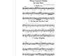 Three Concert Etudes for Solo Horn by Mike D'Ambrosio (2013)